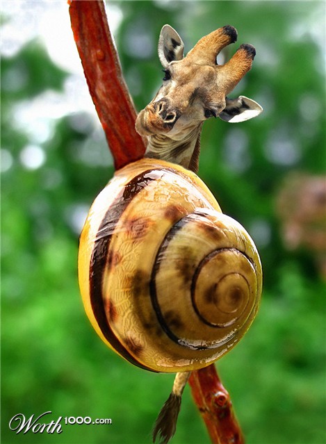 Photoshop Design by fanucci