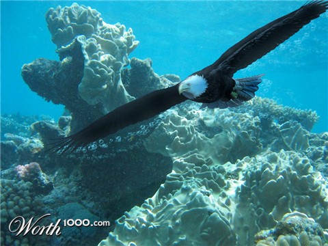 Photoshop Design by PJcub99