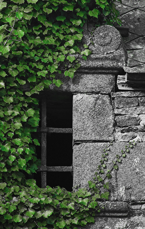 Fotografie von Redbull_UK für DesignCrowd (Community Contests) | Design #8982831