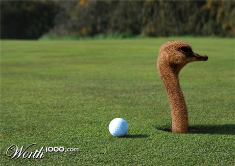 Photoshop Design by WhiteFly