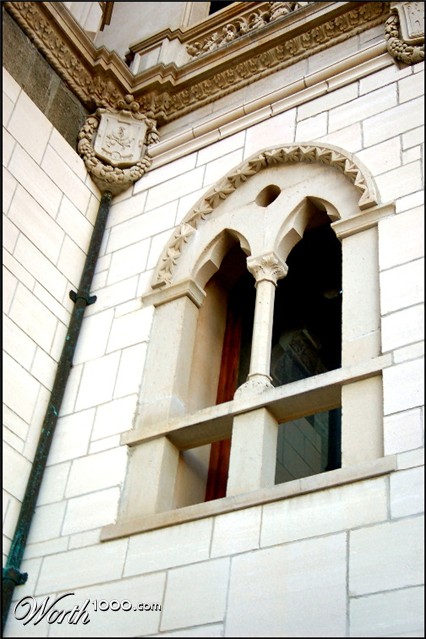 Photography by tlovesd