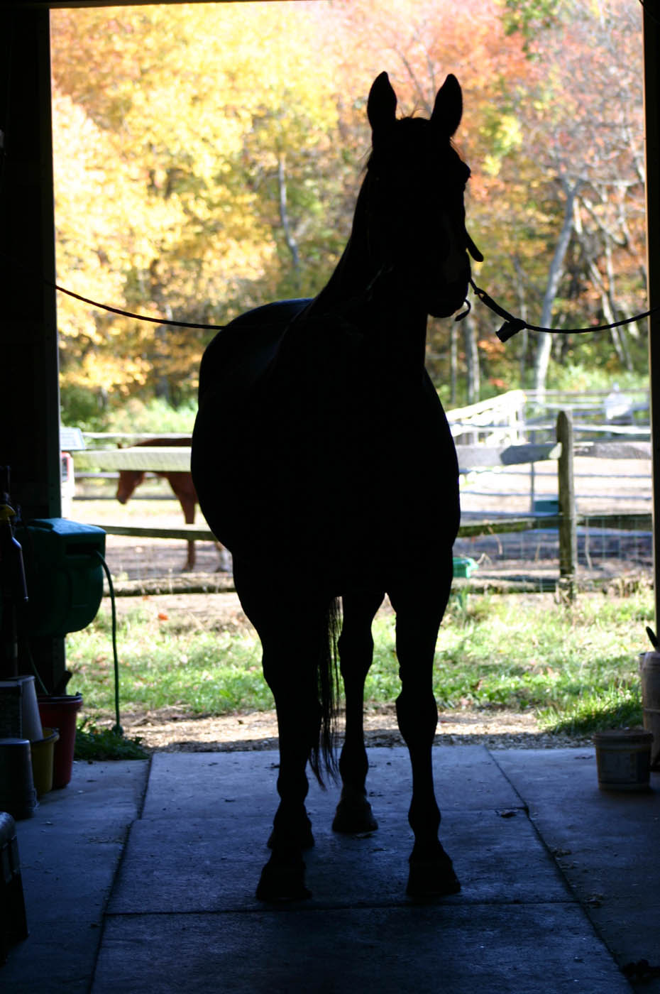 Photography by bbfarmer for DesignCrowd (Community Contests) | Design #8988300