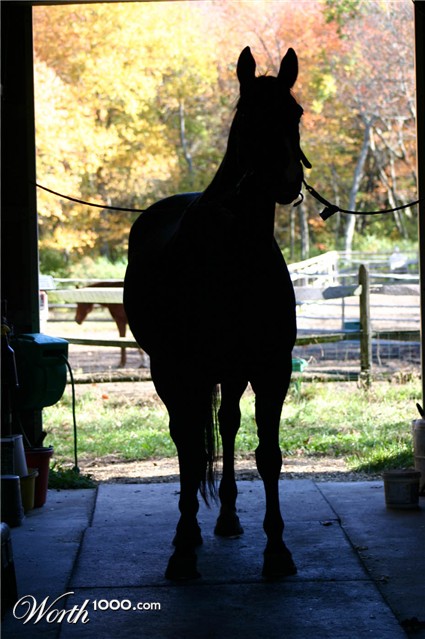 Photography by bbfarmer