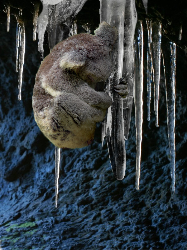 Design Photoshop par chocoblock pour DesignCrowd (Community Contests) | Design #8986530