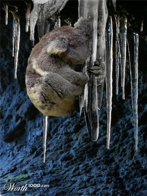 Photoshop Design by chocoblock