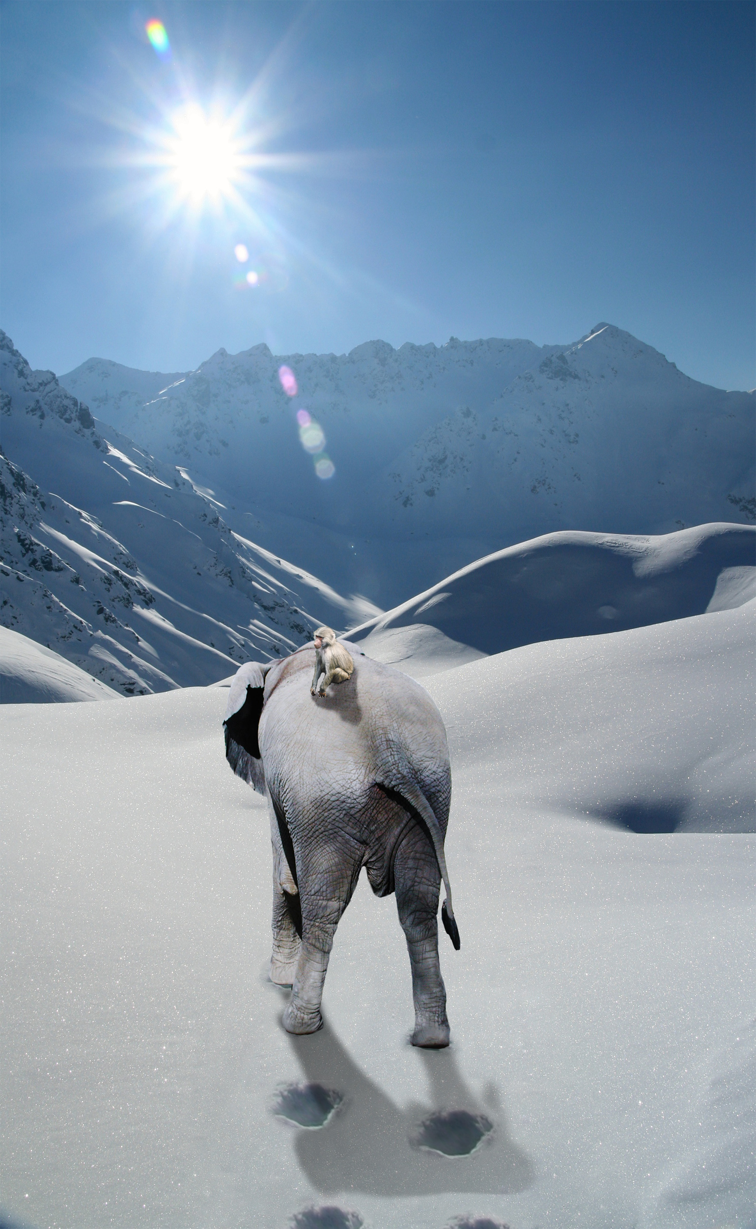 Diseño de Photoshop por Ronschk para DesignCrowd (Community Contests) | Diseño #8986534