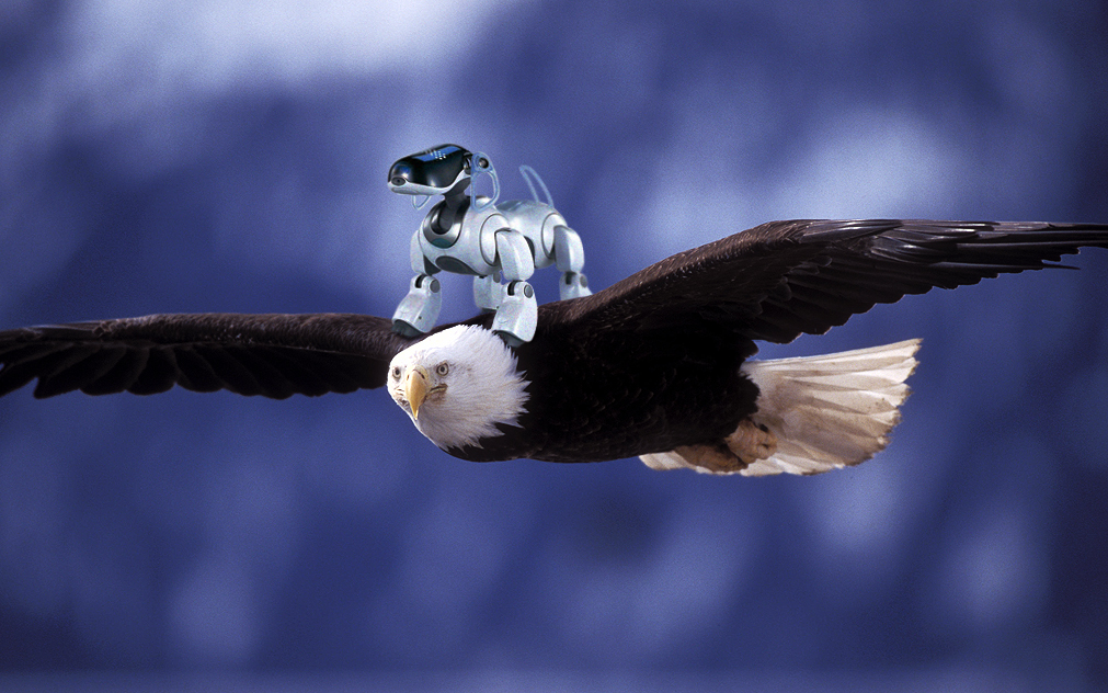 Photoshop Design by sameer768 for DesignCrowd (Community Contests) | Design #8987052