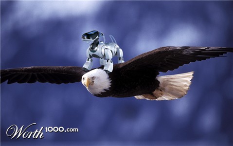 Photoshop Design by sameer768