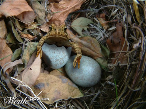 Photoshop Design by savagejon123