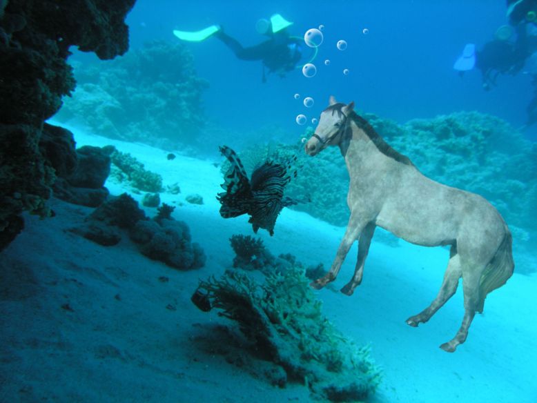 Diseño de Photoshop por Pastewka para DesignCrowd (Community Contests) | Diseño #8986544