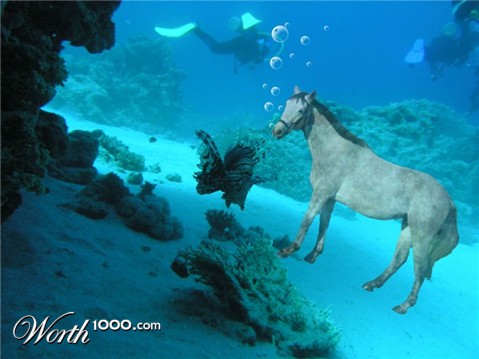 Photoshop Design by Pastewka