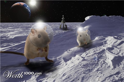 Photoshop Design by Snorgledork