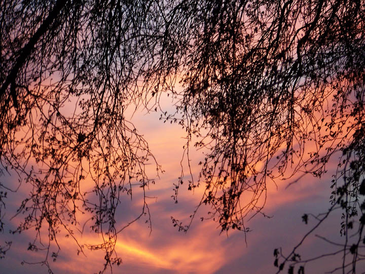 Photography by PsychoKittn for DesignCrowd (Community Contests) | Design #8988489