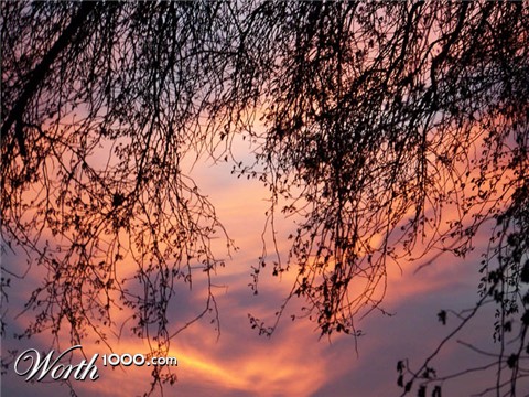 Photography by PsychoKittn