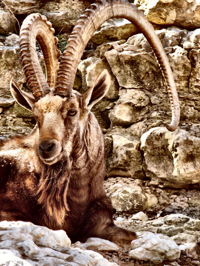 Photography by Suziecuchon for DesignCrowd (Community Contests) | Design #8985648