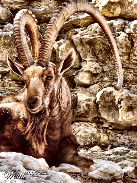 Photography by Suziecuchon