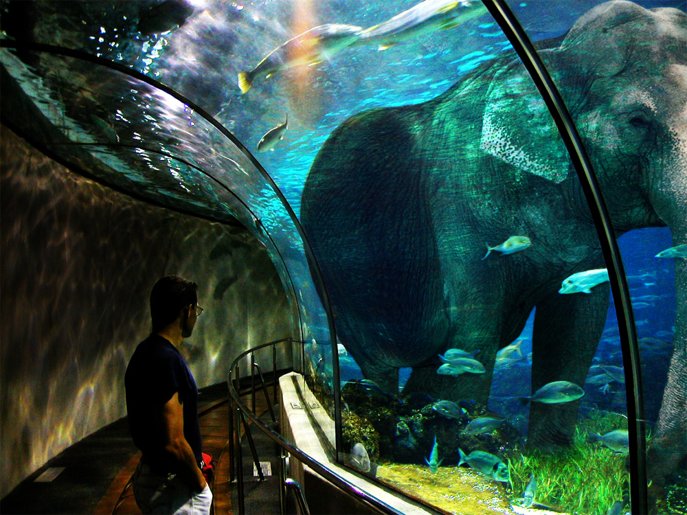 Photoshop Design by PixelTreason for DesignCrowd (Community Contests) | Design #8986532