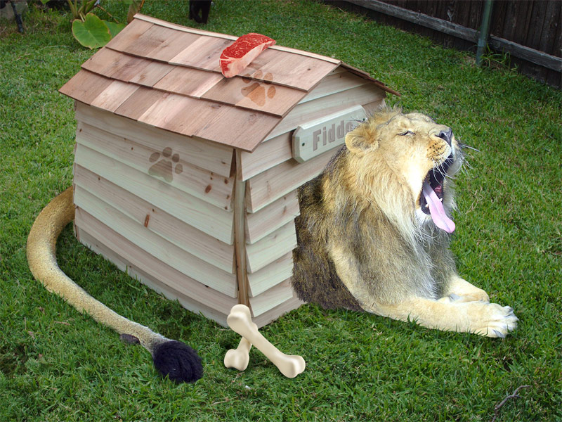 Diseño de Photoshop por Nicolaj para DesignCrowd (Community Contests) | Diseño #8986543