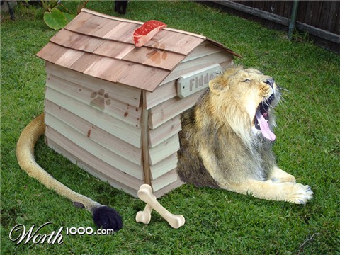 Photoshop Design by Nicolaj