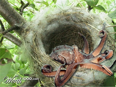 Photoshop Design by manjit69