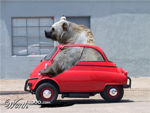 Photoshop Design by BlueHeron