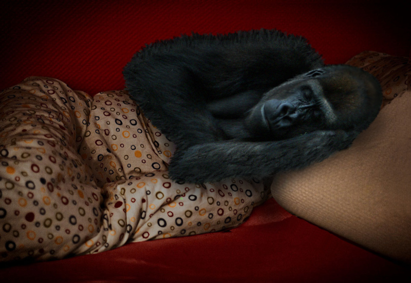 Photoshop-Design von deerreaper für DesignCrowd (Community Contests) | Design #8986552