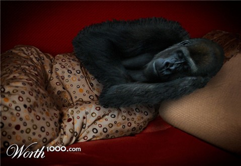 Photoshop Design by deerreaper