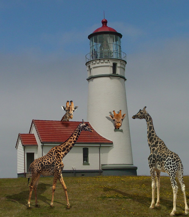 Photoshop-Design von claudime für DesignCrowd (Community Contests) | Design #8986562