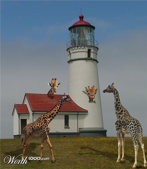 Photoshop Design by claudime