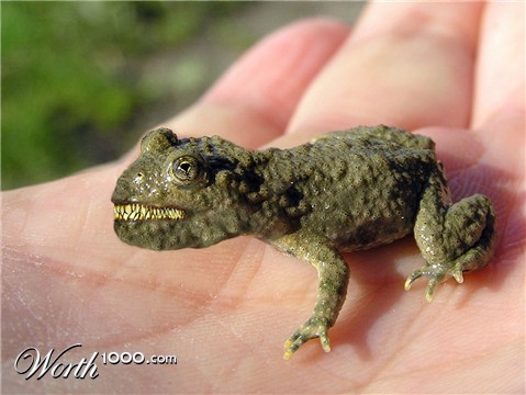 Photoshop Design by rizzato