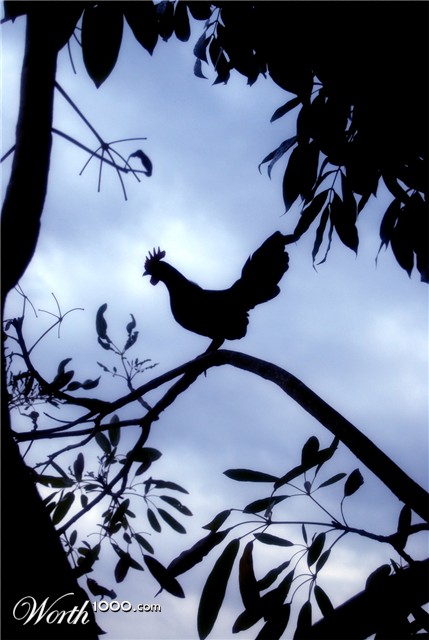 Photography by sapvega
