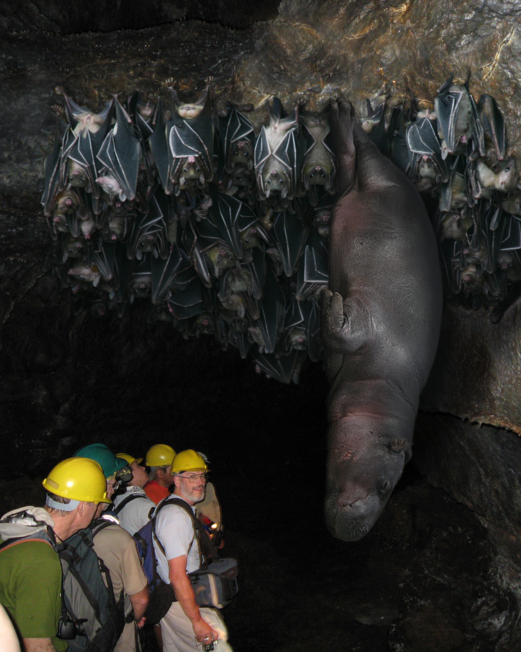 Photoshop Design by Marlena for DesignCrowd (Community Contests) | Design #8986583