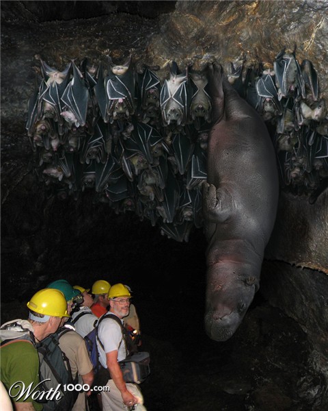 Photoshop Design by Marlena