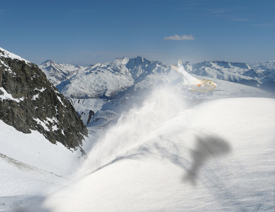 Photoshop Design by mattella for DesignCrowd (Community Contests) | Design #8986571