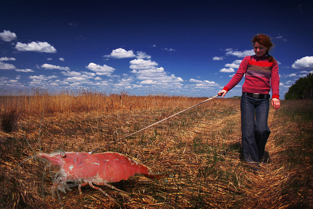 Photoshop Design by DogofAges for DesignCrowd (Community Contests) | Design #8986570