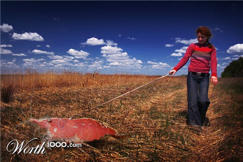 Photoshop Design by DogofAges