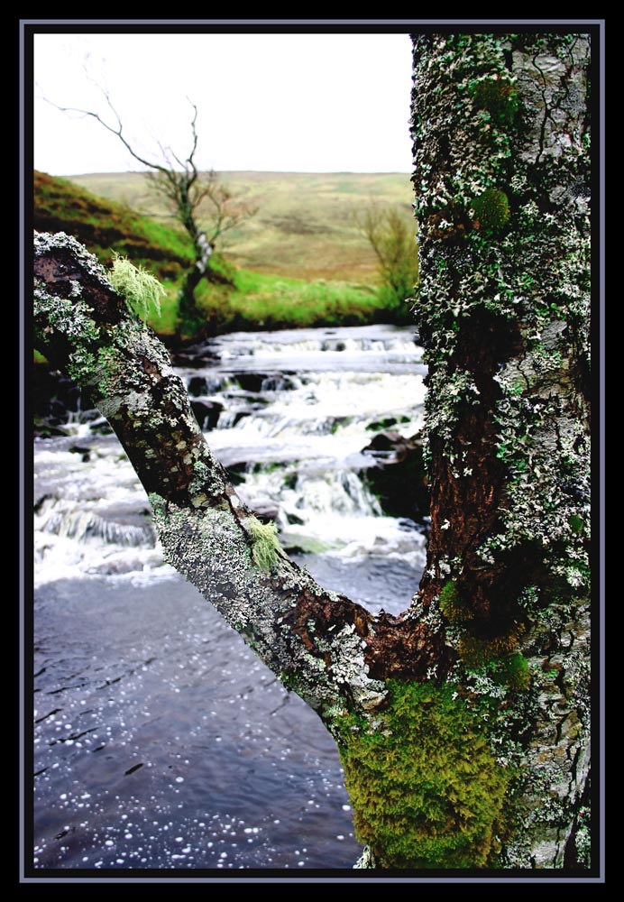 Photography by DurhamTyke for DesignCrowd (Community Contests) | Design #8985705