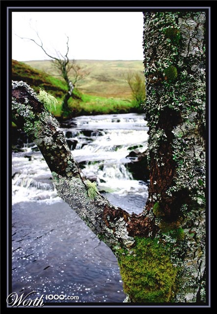 Photography by DurhamTyke