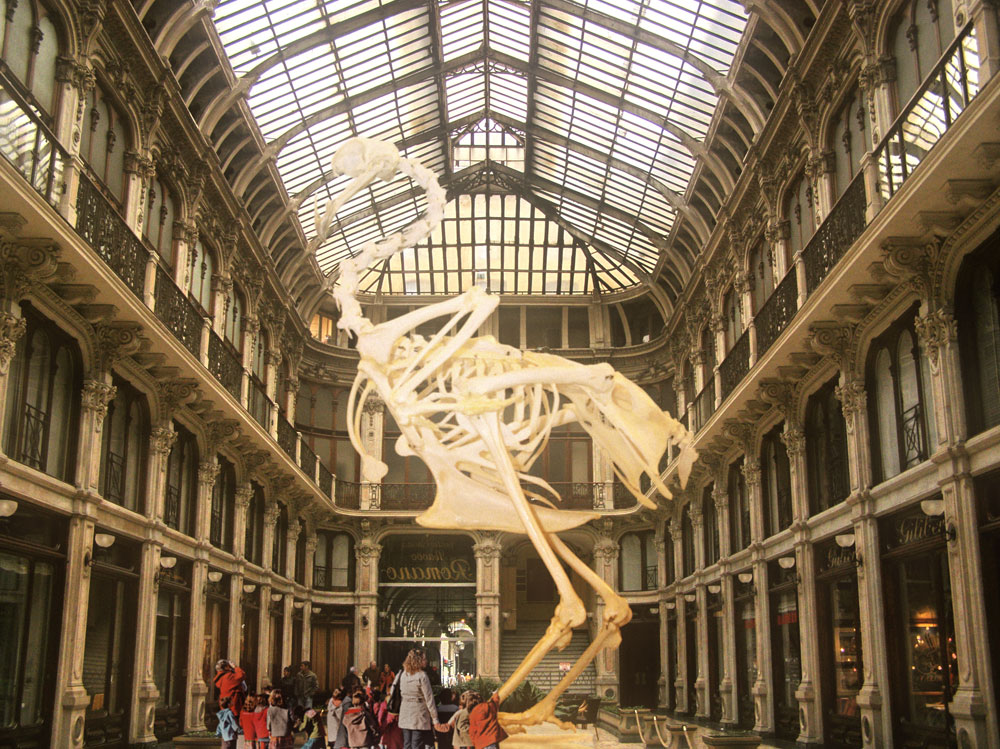 Photoshop Design by DogofAges for DesignCrowd (Community Contests) | Design #8987101