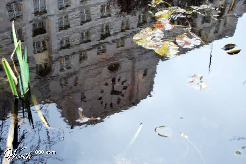 Photography by harveyy for DesignCrowd (Community Contests) | Design #8985788