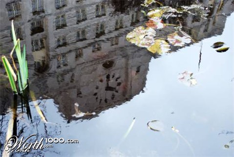 Photography by harveyy