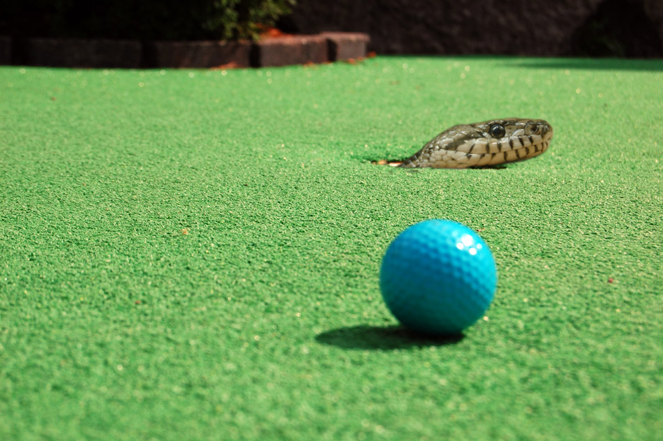 Photoshop Design by jethro121 for DesignCrowd (Community Contests) | Design #8986551