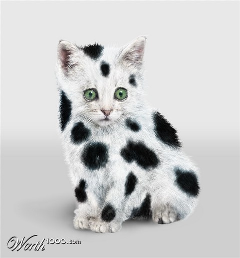 Photoshop Design by biutifool
