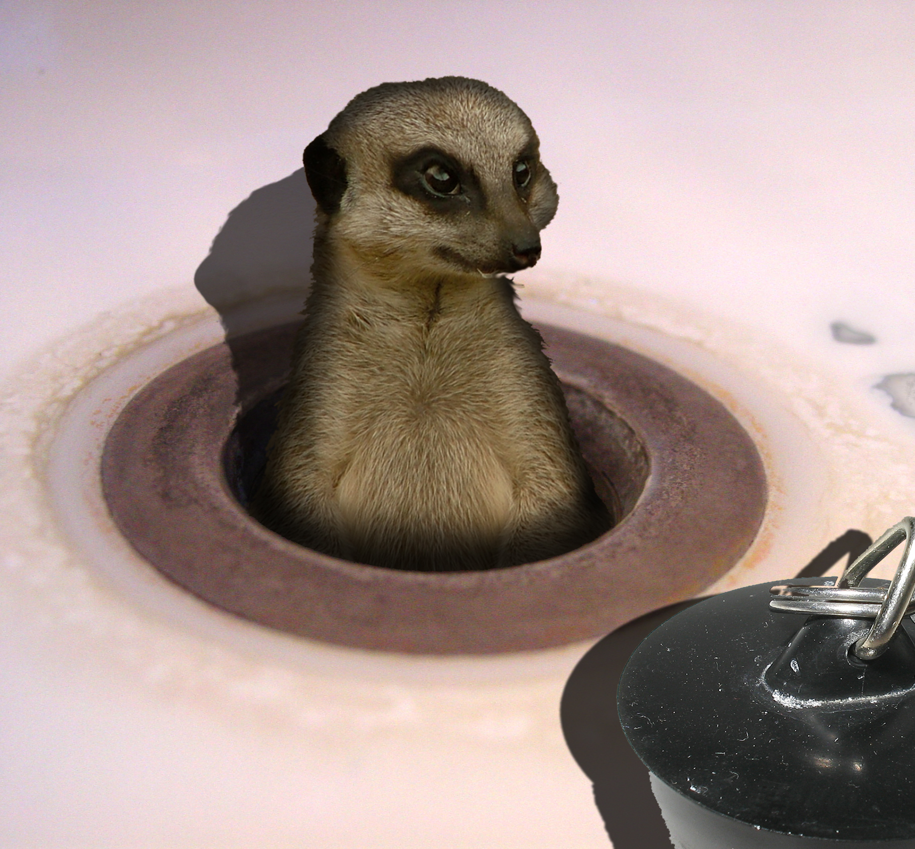 Photoshop Design by jonb777 for DesignCrowd (Community Contests) | Design #8986545