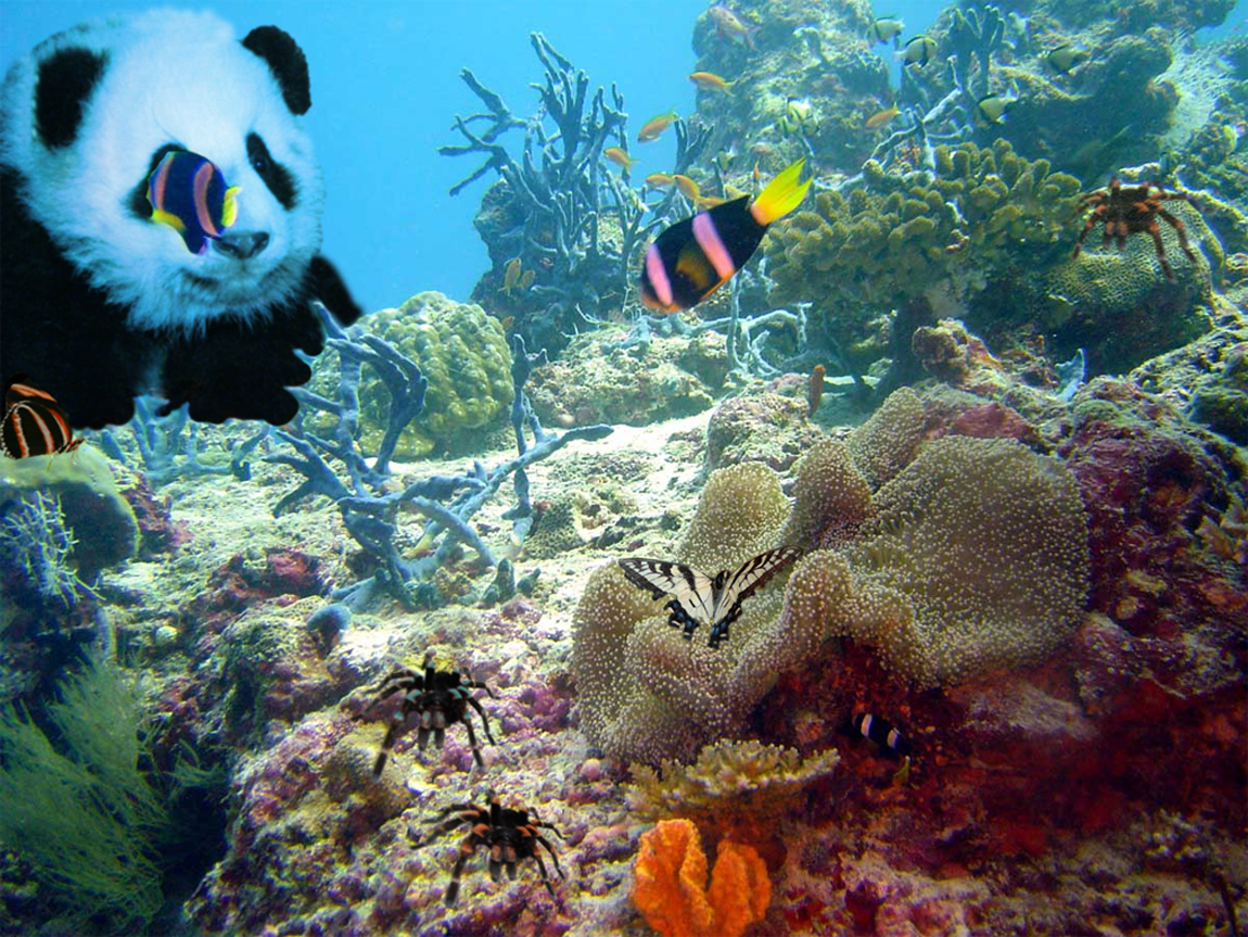 Design Photoshop par jaysin777 pour DesignCrowd (Community Contests) | Design #8986563