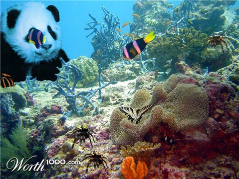 Photoshop Design by jaysin777