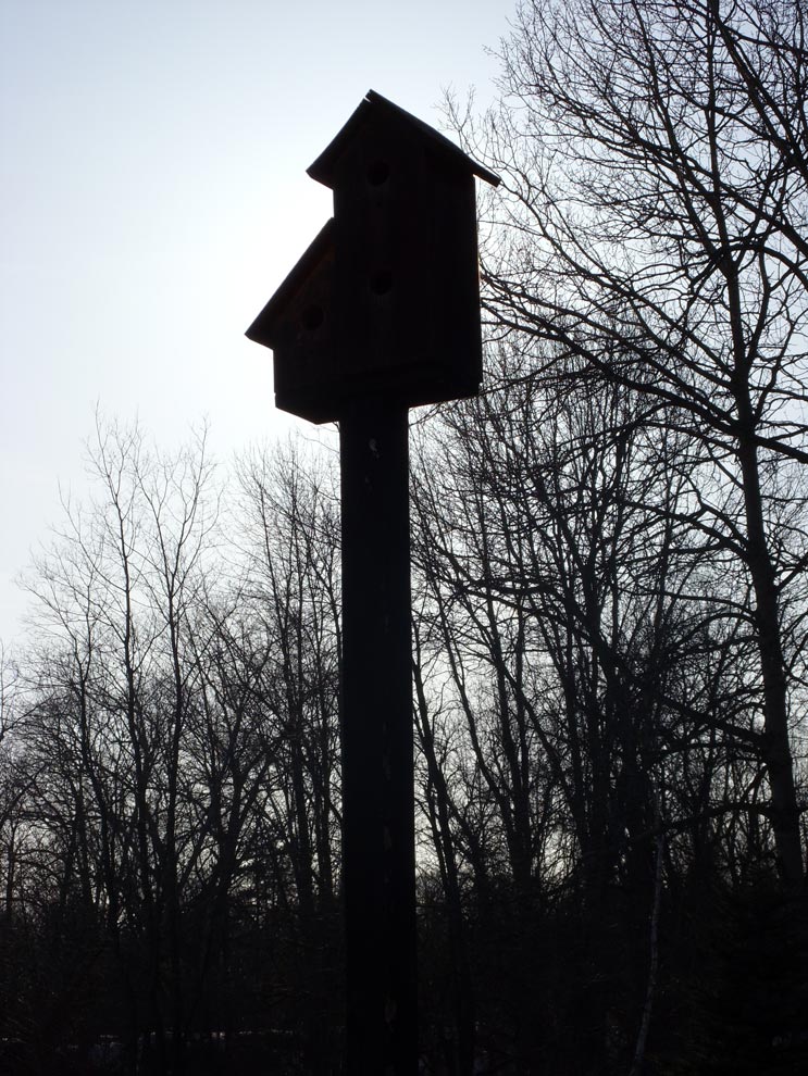 Photography by Chimmi for DesignCrowd (Community Contests) | Design #8987935