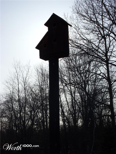 Photography by Chimmi