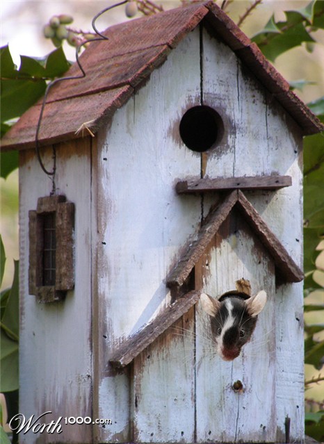 Photoshop Design by phillpsp