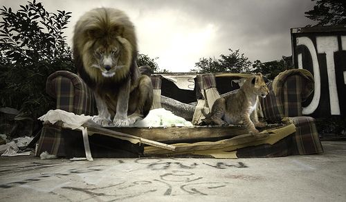 Photoshop Design by SphiPony for DesignCrowd (Community Contests) | Design #8986557